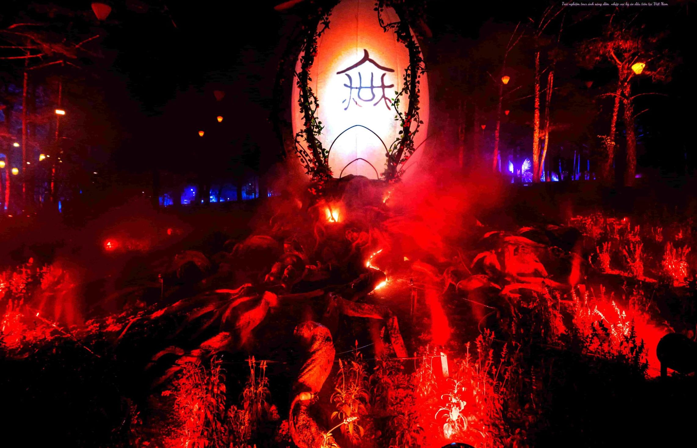 Step into the wonderland