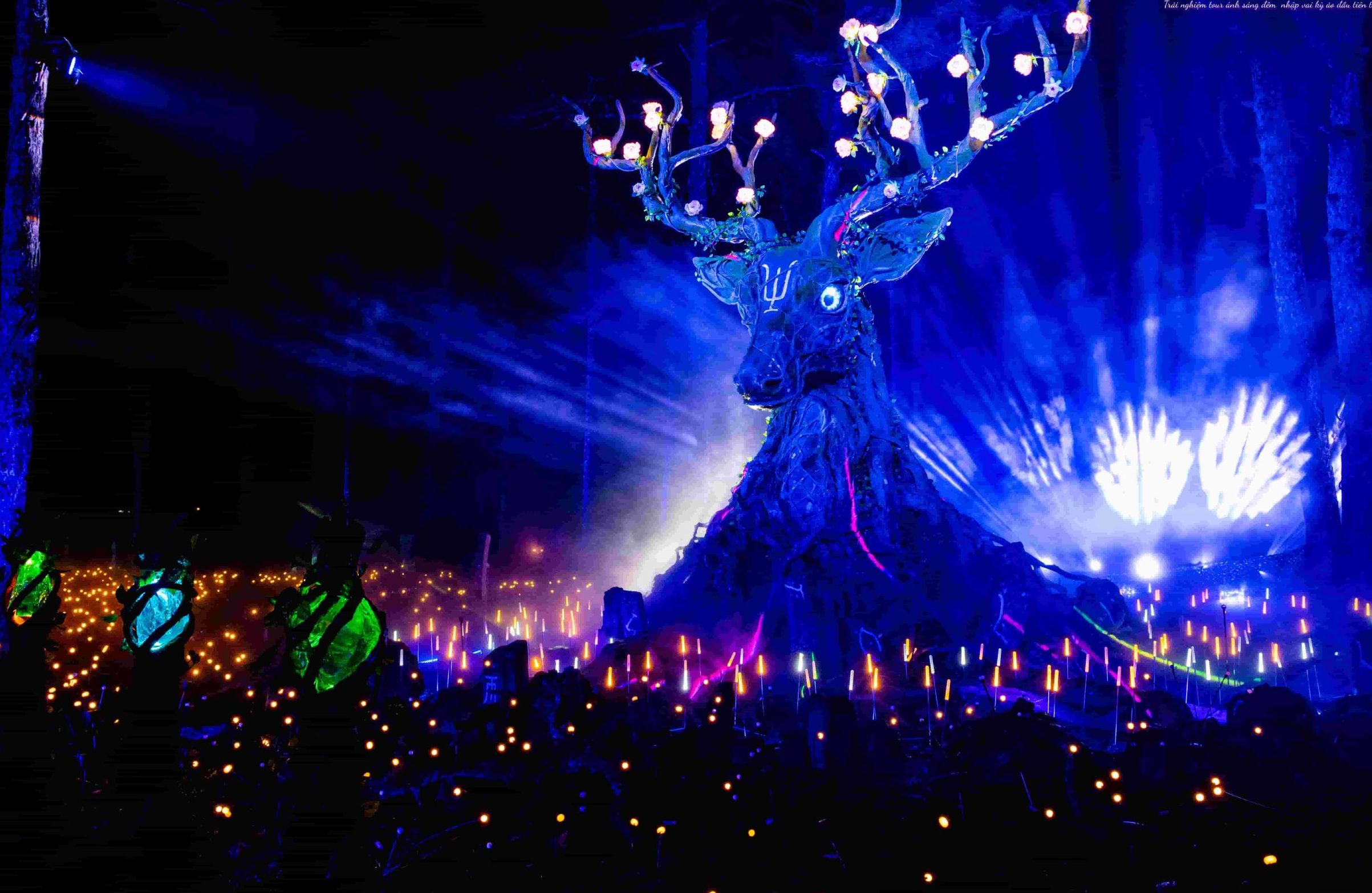 Immersive Night Journey | Starry Fairyland of Penglai: A Mythical Adventure in the Enchanted Forests of Da Lat